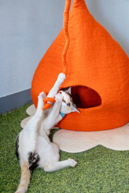 Orange colored felted cat cave